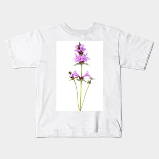 Stachys macrantha  Big Betony Kids T-Shirt